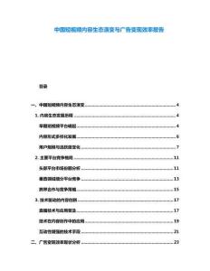 中國短視頻內(nèi)容生態(tài)演變與廣告變現(xiàn)效率報告