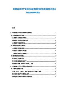 中國智能手機產(chǎn)業(yè)鏈市場繁榮深度解析及發(fā)展趨勢與商業(yè)價值評估研究報告