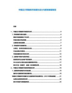 中國云計(jì)算服務(wù)市場增長動(dòng)力與前景展望報(bào)告