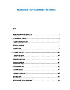 基因檢測服務(wù)下沉市場拓展策略與風(fēng)險(xiǎn)評估報(bào)告