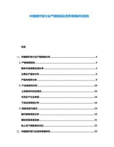 中國螺桿泵行業產銷規模及競爭策略研究報告