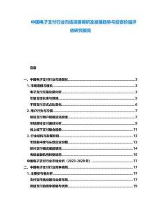 中國(guó)電子支付行業(yè)市場(chǎng)深度調(diào)研及發(fā)展趨勢(shì)與投資價(jià)值評(píng)估研究報(bào)告