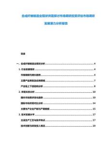 合成纖維制造業現狀供需探討市場調研投資評估市場調研發展潛力分析報告