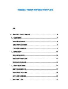 中國(guó)露營(yíng)燈節(jié)能技術(shù)發(fā)展與國(guó)際市場(chǎng)準(zhǔn)入報(bào)告
