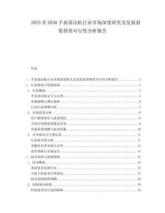 2025至2030手表清潔機行業市場深度研究及發展前景投資可行性分析報告