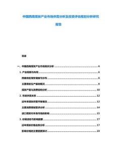 中國西南煤炭產業市場供需分析及投資評估規劃分析研究報告