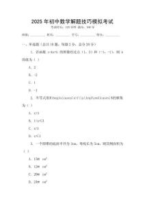 2025年初中數學解題技巧模擬考試