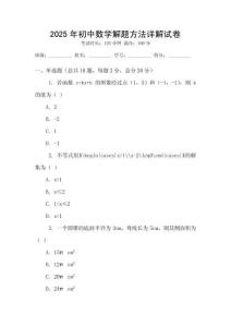 2025年初中數學解題方法詳解試卷