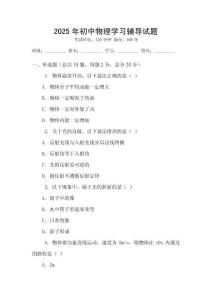 2025年初中物理學習輔導試題