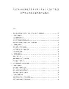 2025至2030全球及中國(guó)智能儀表單片機(jī)芯片行業(yè)項(xiàng)目調(diào)研及市場(chǎng)前景預(yù)測(cè)評(píng)估報(bào)告