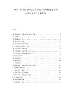 2025-2030裝備制造業首臺套示范項目遴選分析與市場標準引導方案報告