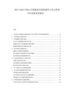 2025-2030中國(guó)云計(jì)算服務(wù)市場(chǎng)滲透率與多云管理平臺(tái)發(fā)展前景報(bào)告