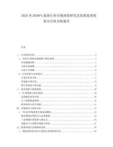 2025至2030PA系統(tǒng)行業(yè)市場(chǎng)深度研究及發(fā)展前景投資可行性分析報(bào)告