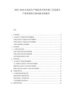 2025-2030自動化生產(chǎn)線技術(shù)應(yīng)用市場工藝改進生產(chǎn)效率投資方案風險分析報告