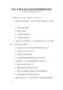 2025年城鄉(xiāng)安全應(yīng)急處理預(yù)案模擬考試