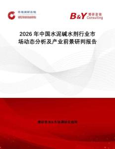 2026年中國水泥堿水劑行業(yè)市場動態(tài)分析及產(chǎn)業(yè)前景研判報告