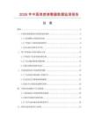 2026年中国角度修整器数据监测报告
