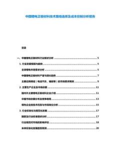 中國鋰電正極材料技術路線選擇及成本控制分析報告