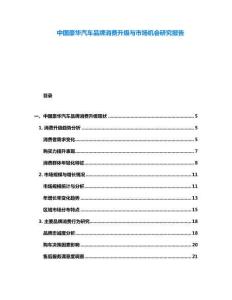 中國豪華汽車品牌消費(fèi)升級(jí)與市場機(jī)會(huì)研究報(bào)告