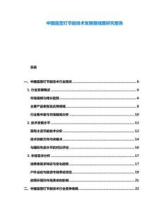 中國露營燈節(jié)能技術(shù)發(fā)展路線圖研究報告