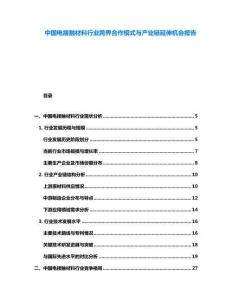 中國電接觸材料行業(yè)跨界合作模式與產(chǎn)業(yè)鏈延伸機(jī)會(huì)報(bào)告