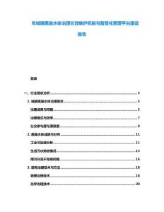 年城鎮(zhèn)黑臭水體治理長效維護(hù)機(jī)制與智慧化管理平臺(tái)建設(shè)報(bào)告