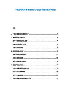 中國(guó)跨境電商市場(chǎng)消費(fèi)行為與競(jìng)爭(zhēng)策略深度分析報(bào)告