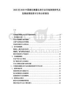 2025至2030中國液位測量儀表行業(yè)市場深度研究及發(fā)展前景投資可行性分析報告