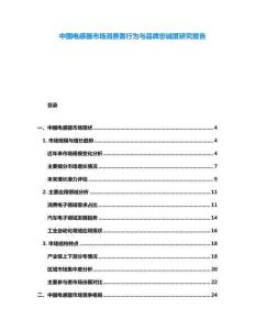 中國電感器市場(chǎng)消費(fèi)者行為與品牌忠誠度研究報(bào)告