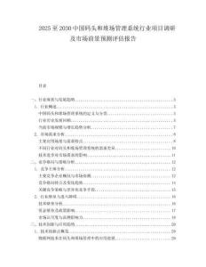 2025至2030中國碼頭和堆場管理系統行業項目調研及市場前景預測評估報告