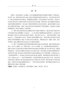 脈沖電催化SnO2電極提升二氧化碳電還原中甲酸選擇性與活性