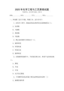 2025年化學(xué)工程與工藝原理試題
