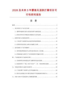 2026及未來5年麝香風濕跌打膏項目可行性研究報告