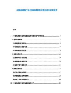 中國電感器行業(yè)并購重組案例與資本運作研究報告