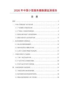 2026年中国小型服务器数据监测报告
