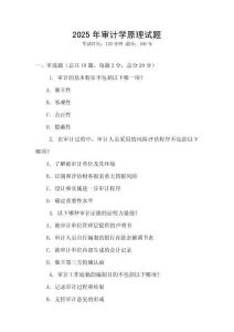 2025年審計(jì)學(xué)原理試題