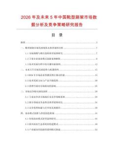 2026年及未來5年中國靴型刷架市場數(shù)據(jù)分析及競爭策略研究報告