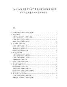 2025-2030水電新能源產業鏈經濟互動現象分析資料與資金成本分析深度解讀報告