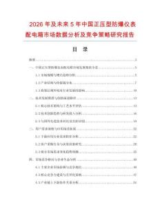 2026年及未來5年中國正壓型防爆儀表配電箱市場數據分析及競爭策略研究報告