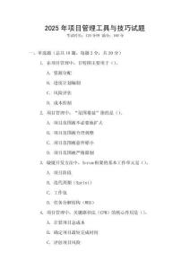 2025年項目管理工具與技巧試題