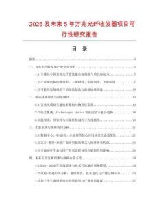 2026及未來5年萬兆光纖收發(fā)器項目可行性研究報告