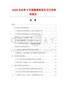 2026及未來5年塔器填料項目可行性研究報告