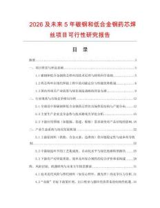 2026及未來5年碳鋼和低合金鋼藥芯焊絲項目可行性研究報告
