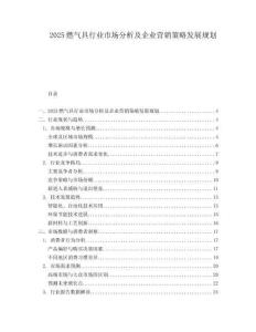 2025燃?xì)饩咝袠I(yè)市場(chǎng)分析及企業(yè)營(yíng)銷策略發(fā)展規(guī)劃