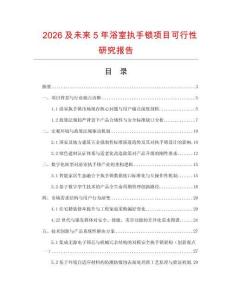 2026及未來5年浴室執(zhí)手鎖項目可行性研究報告