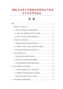 2026及未來5年塑料軟質管材生產線項目可行性研究報告