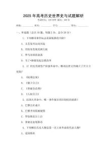 2025年高考历史世界史与试题解析
