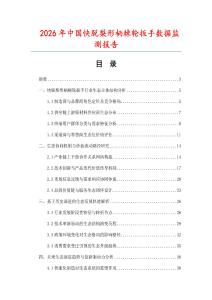 2026年中國快脫梨形柄棘輪扳手數據監(jiān)測報告