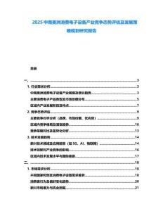 2025中南美洲消費(fèi)電子設(shè)備產(chǎn)業(yè)競(jìng)爭(zhēng)態(tài)勢(shì)評(píng)估及發(fā)展策略規(guī)劃研究報(bào)告