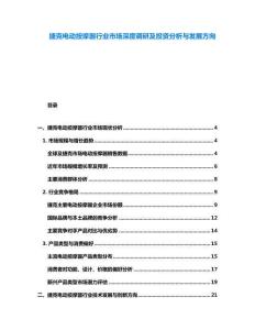 捷克電動按摩器行業市場深度調研及投資分析與發展方向